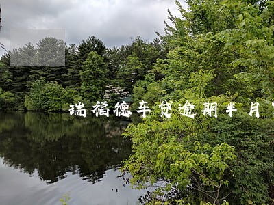 瑞福德车贷逾期半月了怎么办 瑞福德车贷逾期半月了怎么办
