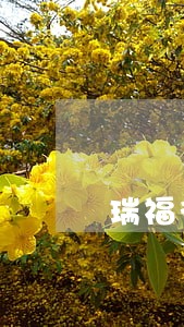 瑞福德车贷逾期可以协商吗 瑞福德车贷逾期可以协商吗
