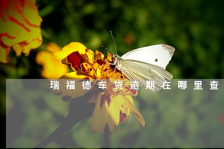 瑞福德车贷逾期在哪里查询 瑞福德车贷逾期在哪里查询