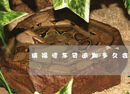 瑞福德车贷逾期多久会收车 瑞福德车贷逾期多久会收车