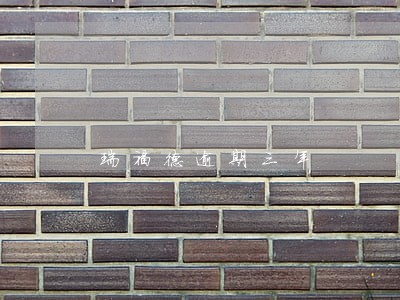 瑞福德逾期三年 瑞福德逾期三年