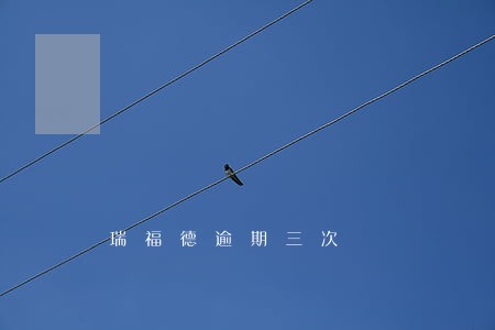 瑞福德逾期三次 瑞福德逾期三次