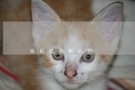 瑞福德逾期信息 瑞福德逾期信息