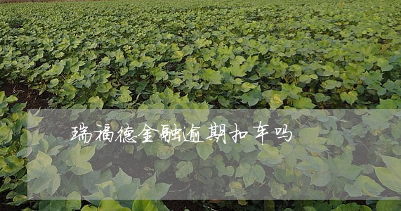 瑞福德金融逾期扣车吗 瑞福德金融逾期扣车吗