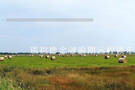 瑞福德金融逾期远程锁车 瑞福德金融逾期远程锁车