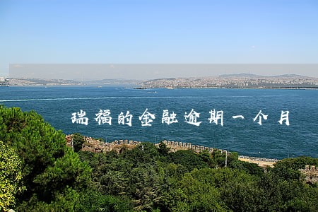 瑞福的金融逾期一个月 瑞福的金融逾期一个月