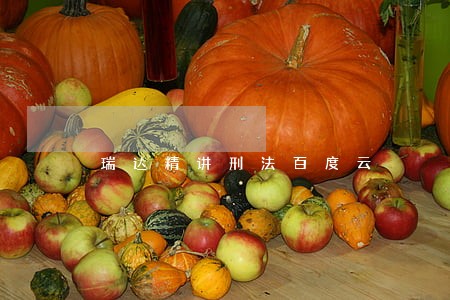 瑞达精讲刑法百度云 瑞达精讲刑法百度云