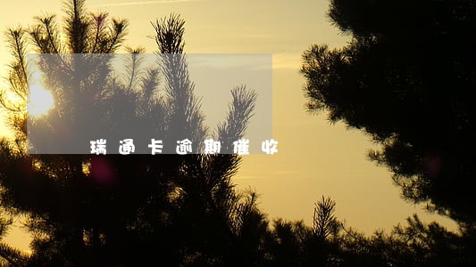 瑞通卡逾期催收 瑞通卡逾期催收