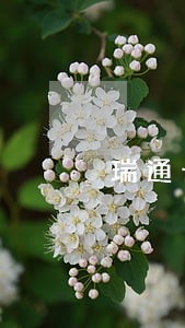 瑞通卡逾期多久爆通讯录 瑞通卡逾期多久爆通讯录