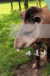 瑞通卡逾期爆通讯录吗 瑞通卡逾期爆通讯录吗