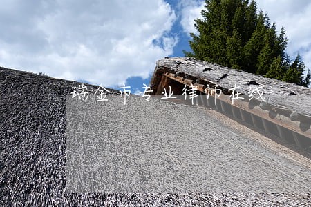 瑞金市专业律师在线