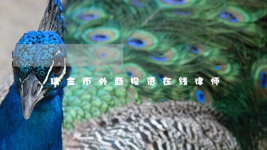 瑞金市外商投资在线律师 瑞金市外商投资在线律师