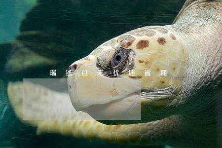 瑞钱包无忧还逾期 瑞钱包无忧还逾期