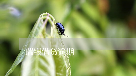 瑞银借贷逾期 瑞银借贷逾期