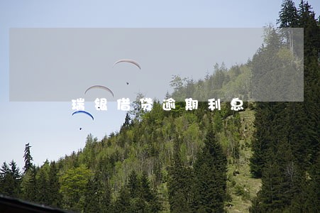 瑞银借贷逾期利息 瑞银借贷逾期利息