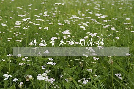 瑞银普惠逾期冻结 瑞银普惠逾期冻结