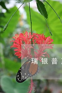瑞银普惠逾期几天上征信 瑞银普惠逾期几天上征信