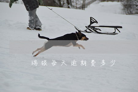 瑞银每天逾期费多少 瑞银每天逾期费多少