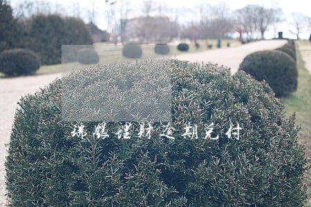 瑞银理财逾期兑付 瑞银理财逾期兑付