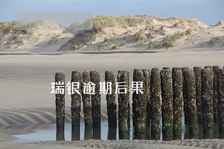 瑞银逾期后果 瑞银逾期后果