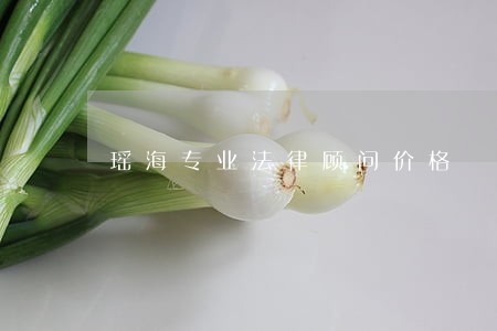 瑶海专业法律顾问价格