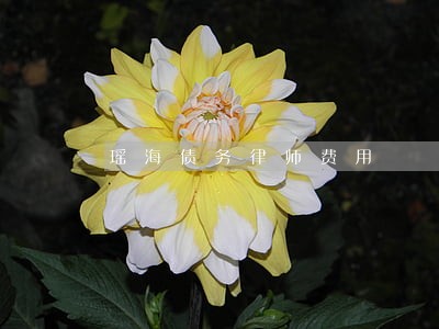 瑶海债务律师费用 瑶海债务律师费用