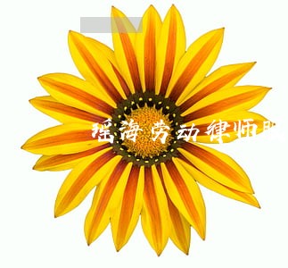 瑶海劳动律师服务事务所 瑶海劳动律师服务事务所