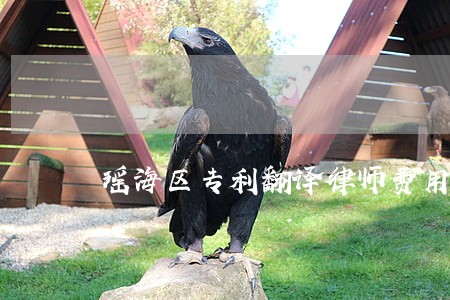 瑶海区专利翻译律师费用 瑶海区专利翻译律师费用