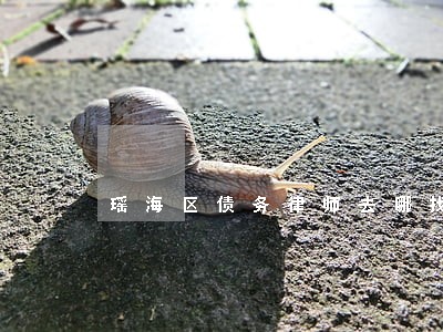 瑶海区债务律师去哪找 瑶海区债务律师去哪找