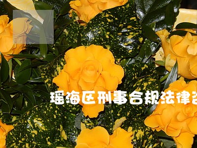 瑶海区刑事合规法律咨询热线 瑶海区刑事合规法律咨询热线