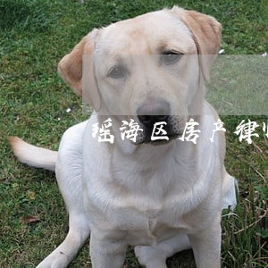 瑶海区房产律师顾问律师 瑶海区房产律师顾问律师