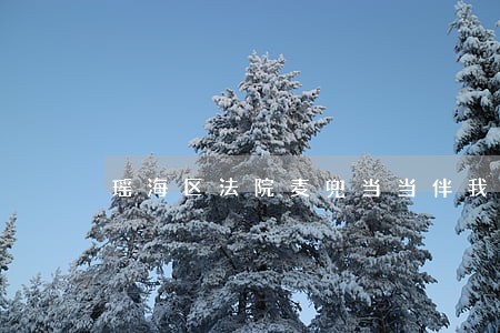 瑶海区法院麦兜当当伴我心下载 瑶海区法院麦兜当当伴我心下载