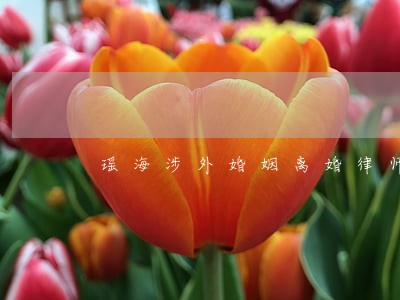 瑶海涉外婚姻离婚律师 瑶海涉外婚姻离婚律师