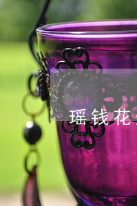 瑶钱花逾期两天会上征信吗 瑶钱花逾期两天会上征信吗