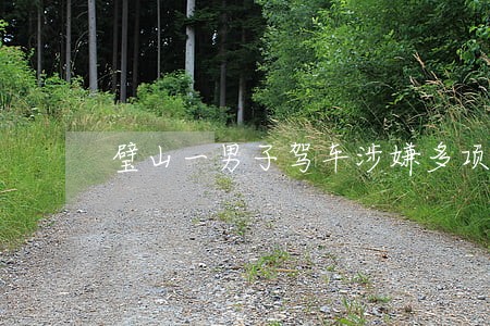 璧山一男子驾车涉嫌多项违法