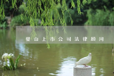 璧山上市公司法律顾问 璧山上市公司法律顾问