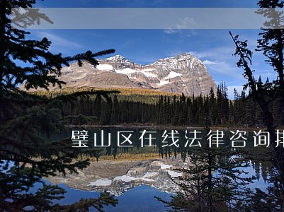 璧山区在线法律咨询排名 璧山区在线法律咨询排名
