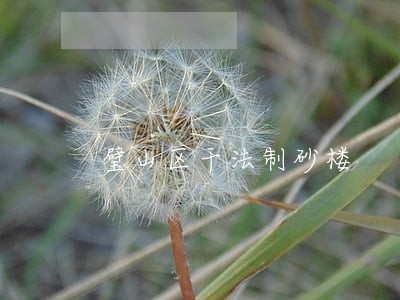 璧山区干法制砂楼 璧山区干法制砂楼
