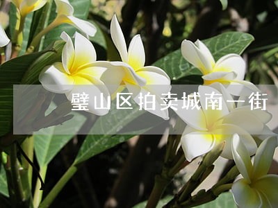 璧山区拍卖城南一街 璧山区拍卖城南一街