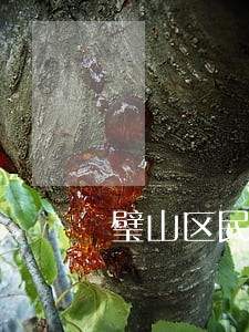 璧山区民间借贷律师咨询电话 璧山区民间借贷律师咨询电话