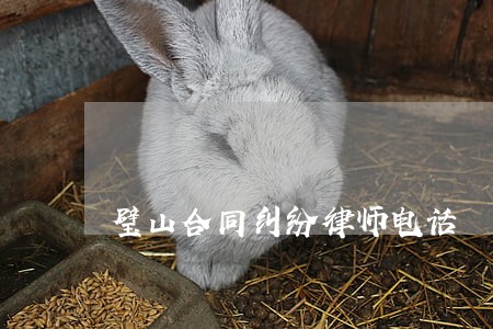 璧山合同纠纷律师电话 璧山合同纠纷律师电话