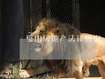 璧山房地产法律咨询 璧山房地产法律咨询