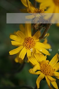 璧山物流公司法律咨询 璧山物流公司法律咨询