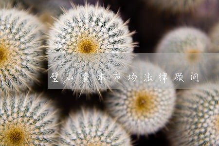 璧山资本市场法律顾问 璧山资本市场法律顾问