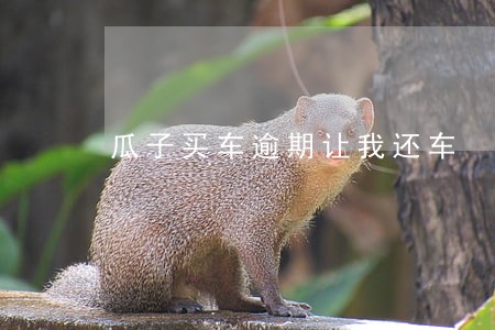 瓜子买车逾期让我还车 瓜子买车逾期让我还车