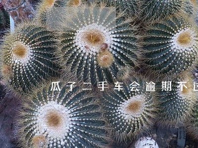 瓜子二手车会逾期不过户不付款吗 瓜子二手车会逾期不过户不付款吗