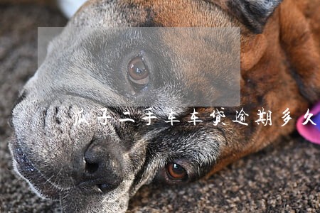 瓜子二手车车贷逾期多久拖车 瓜子二手车车贷逾期多久拖车