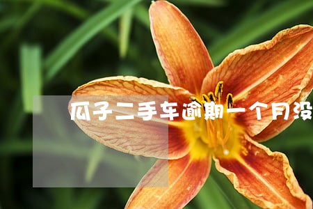 瓜子二手车逾期一个月没事吧 瓜子二手车逾期一个月没事吧