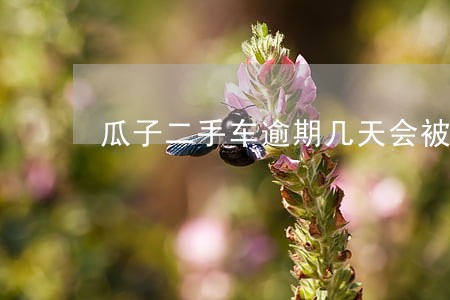 瓜子二手车逾期几天会被拖 瓜子二手车逾期几天会被拖