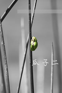瓜子二手车逾期后果 瓜子二手车逾期后果